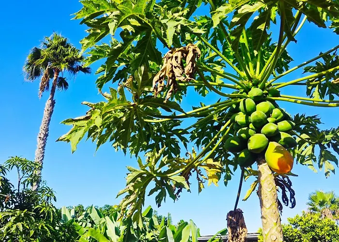 Montana Negra Ii 公寓 San Bartolomé